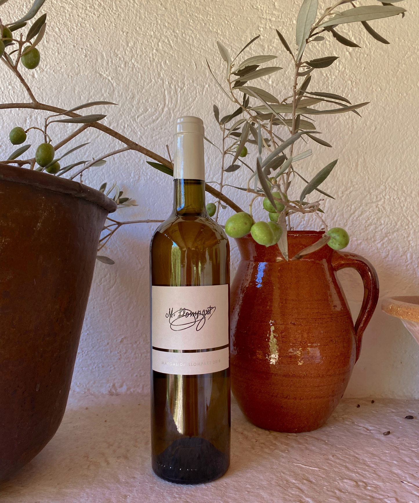 White wine bottle Chardonnay grapes Mallorca